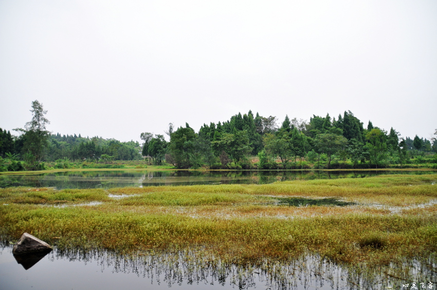 DSC_3051.jpg