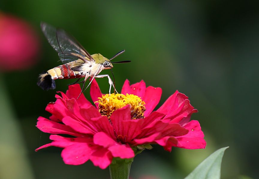 BZ6T5289_.jpg