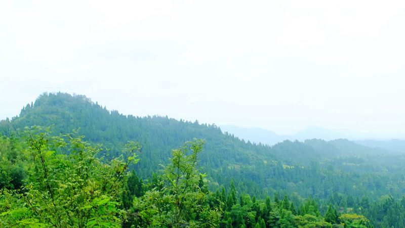 DSCF0029_.jpg