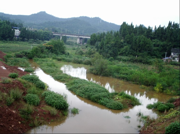 为人为堰塞湖特致蓬安县委县政府一封公开建议