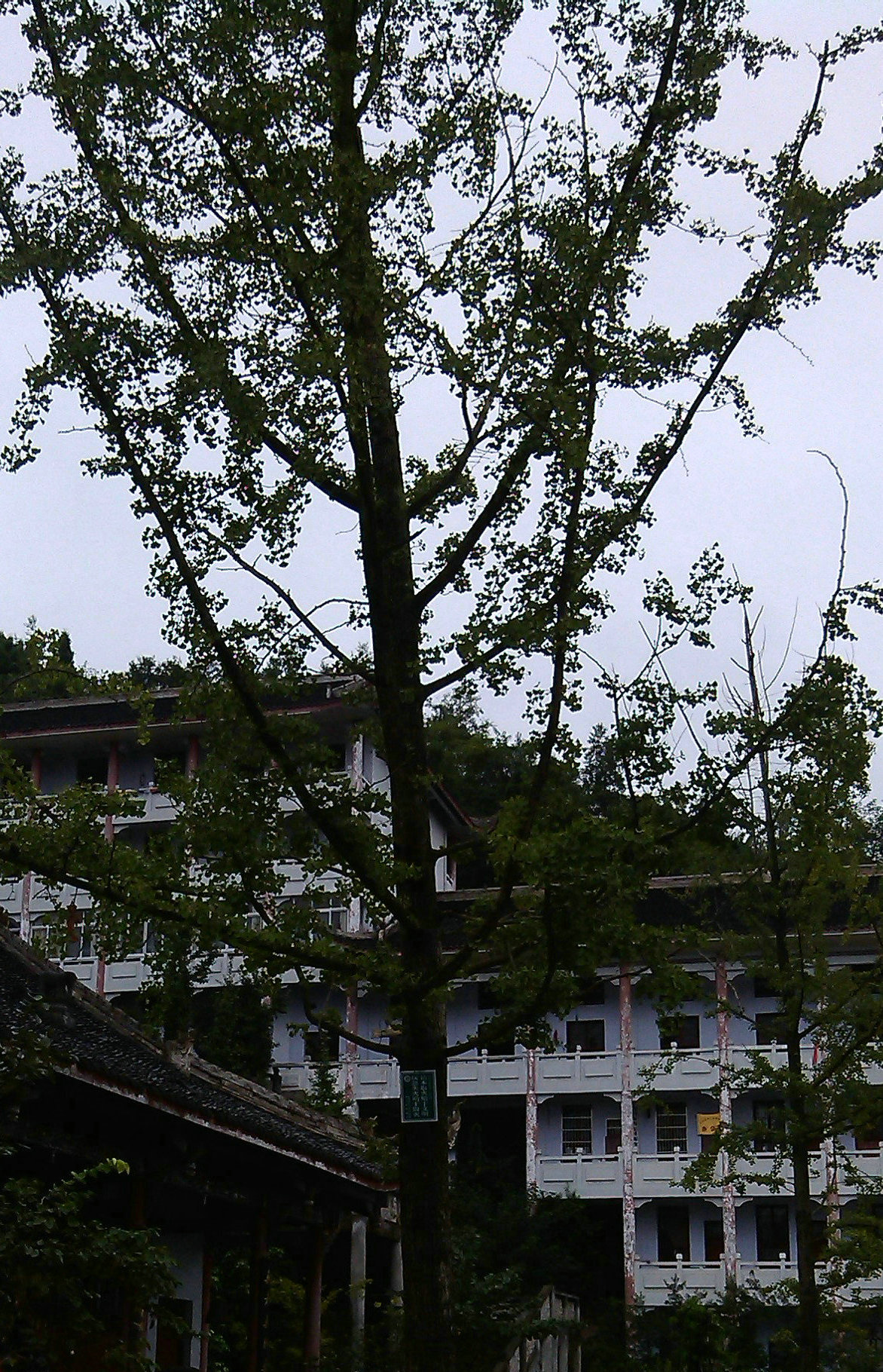 IMG_20130908_142638.jpg