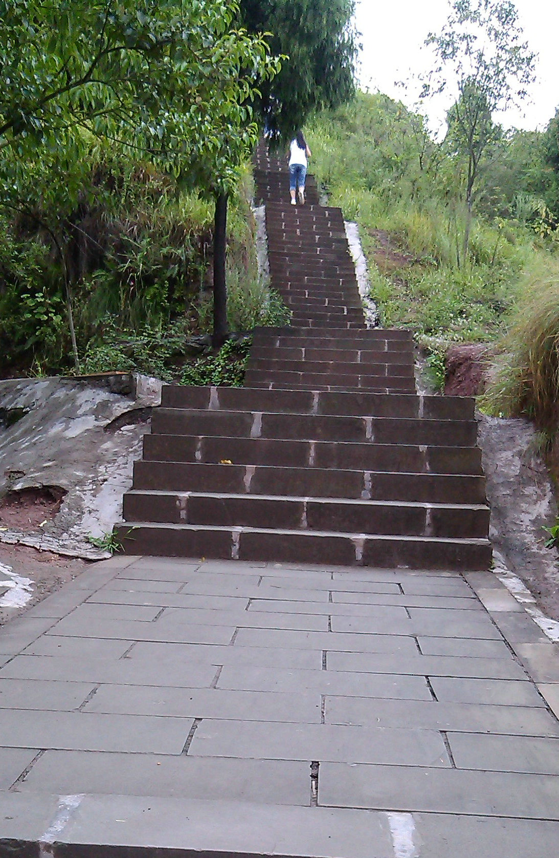 IMG_20130908_150118.jpg