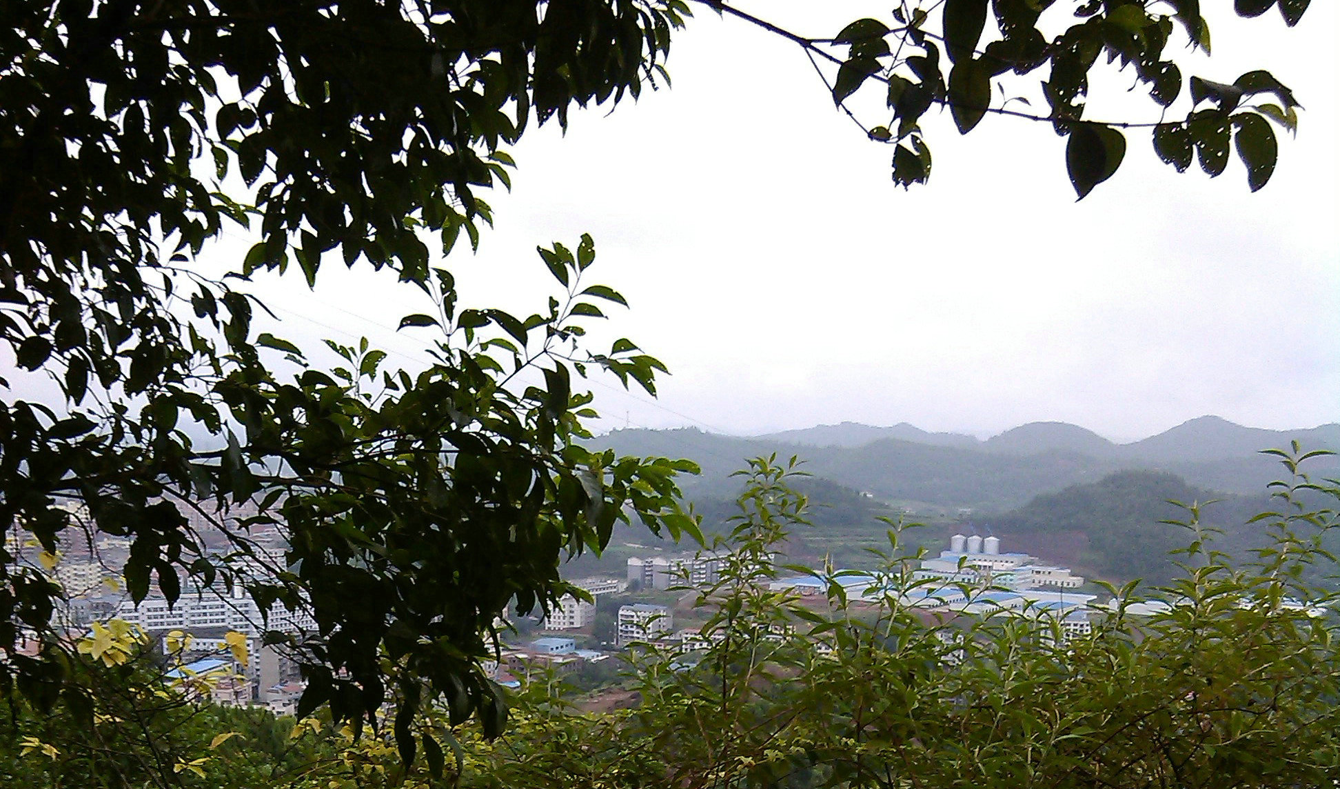 IMG_20130908_150641.jpg