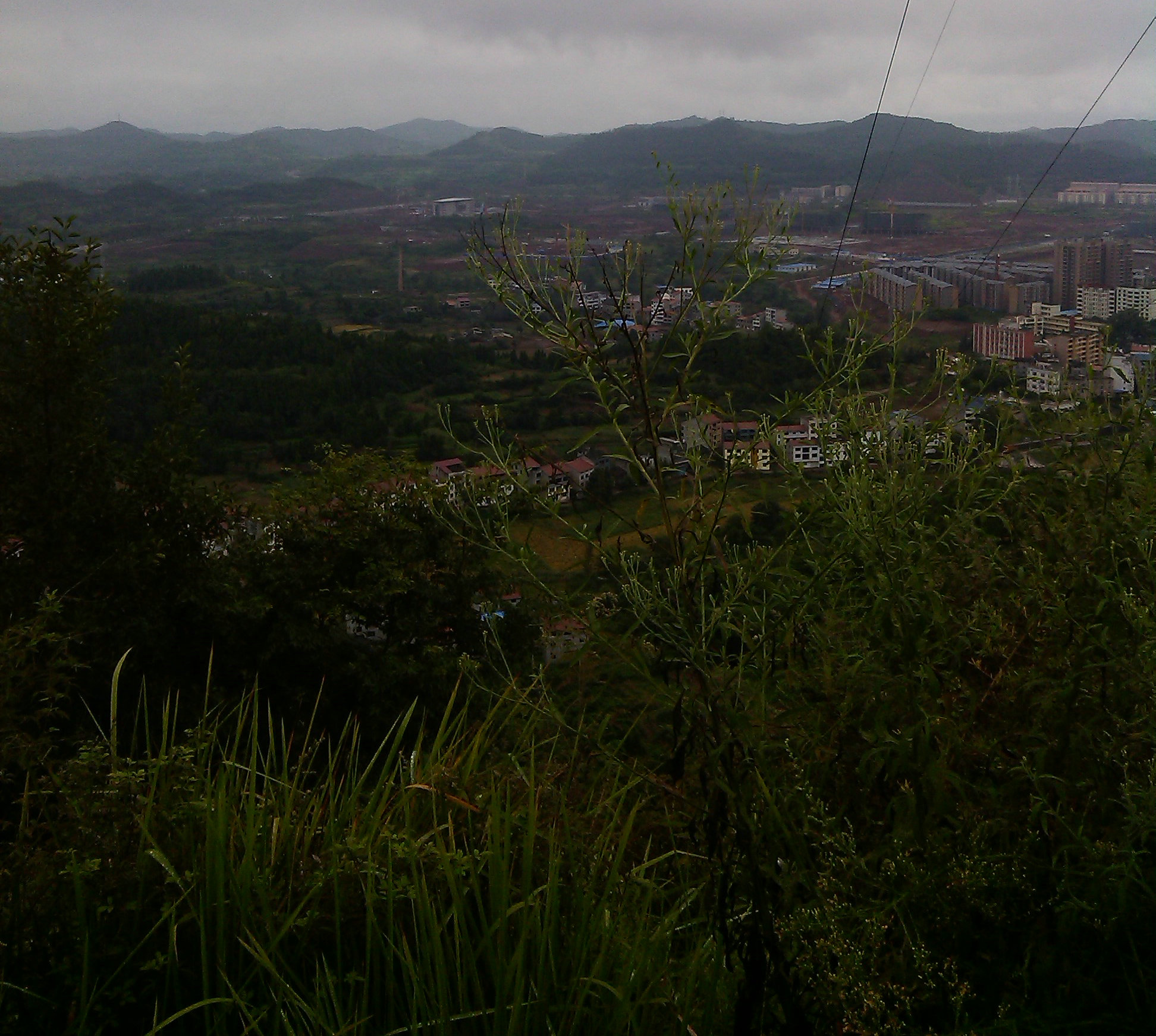 IMG_20130908_151739.jpg