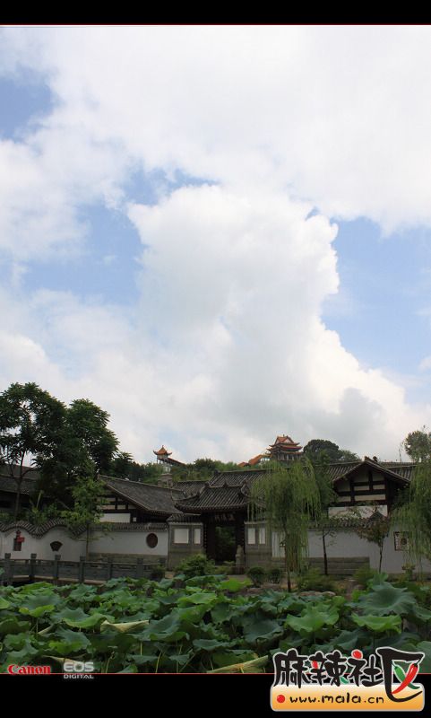 2009882317438308.jpg