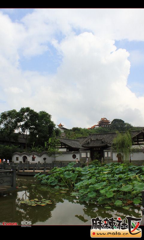 20098823151288826.jpg