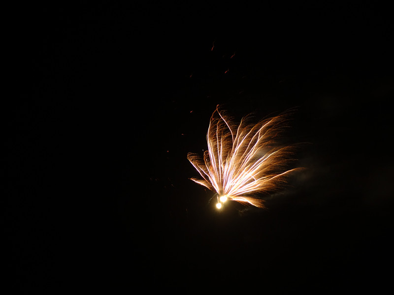 DSC00066_.jpg