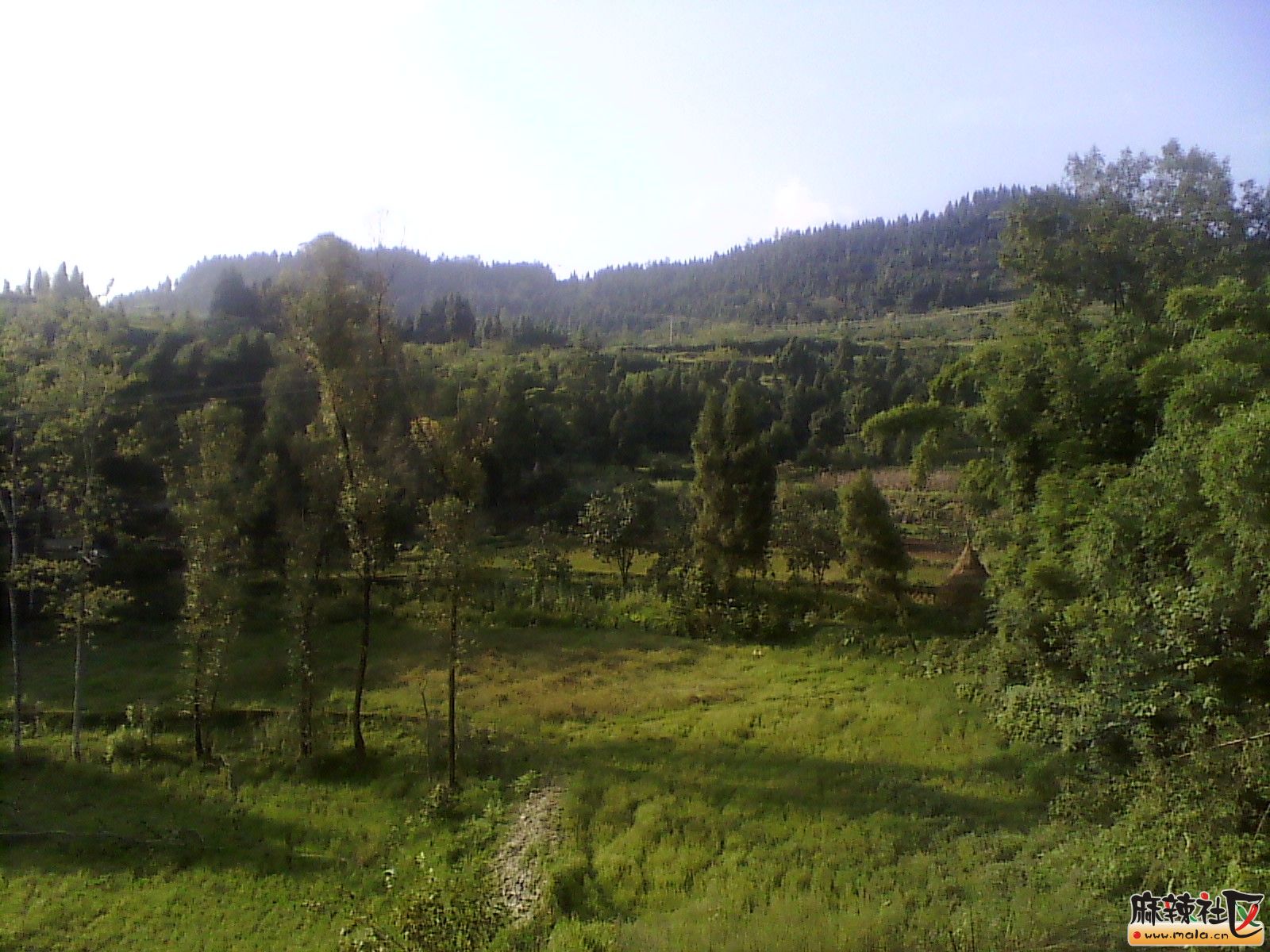IMG_20130910_170118.jpg