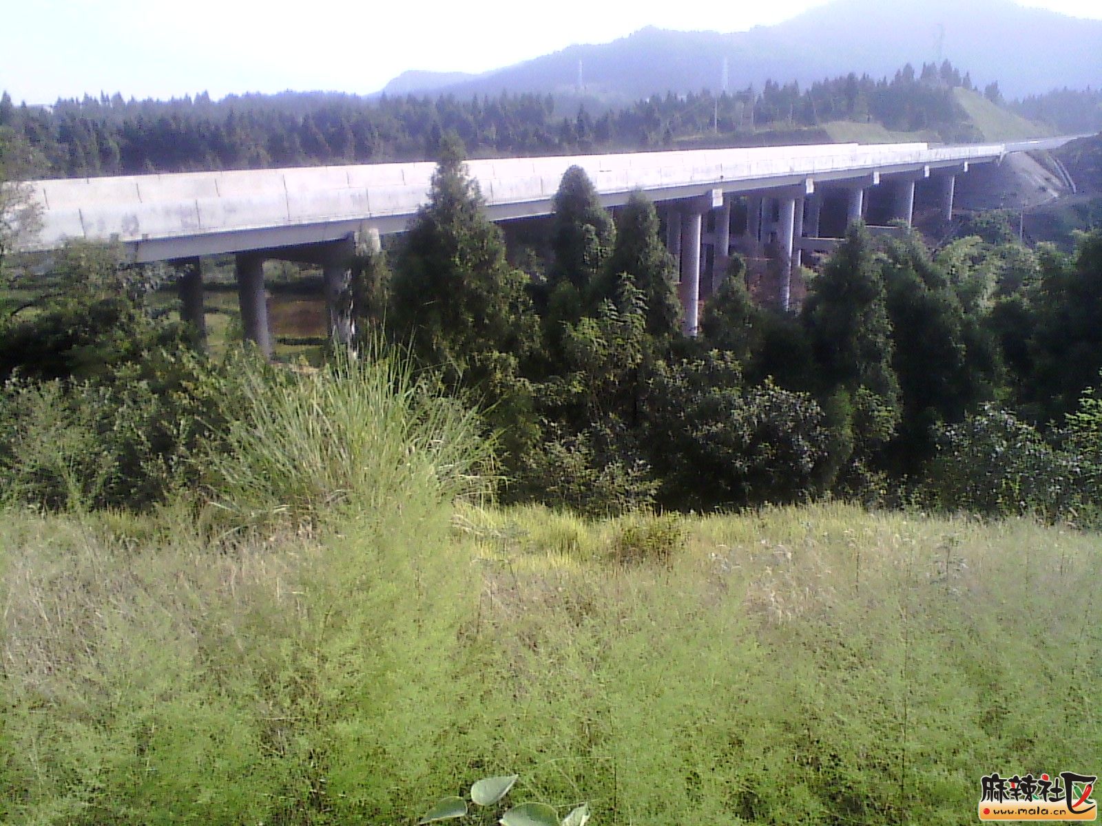IMG_20130910_171332.jpg