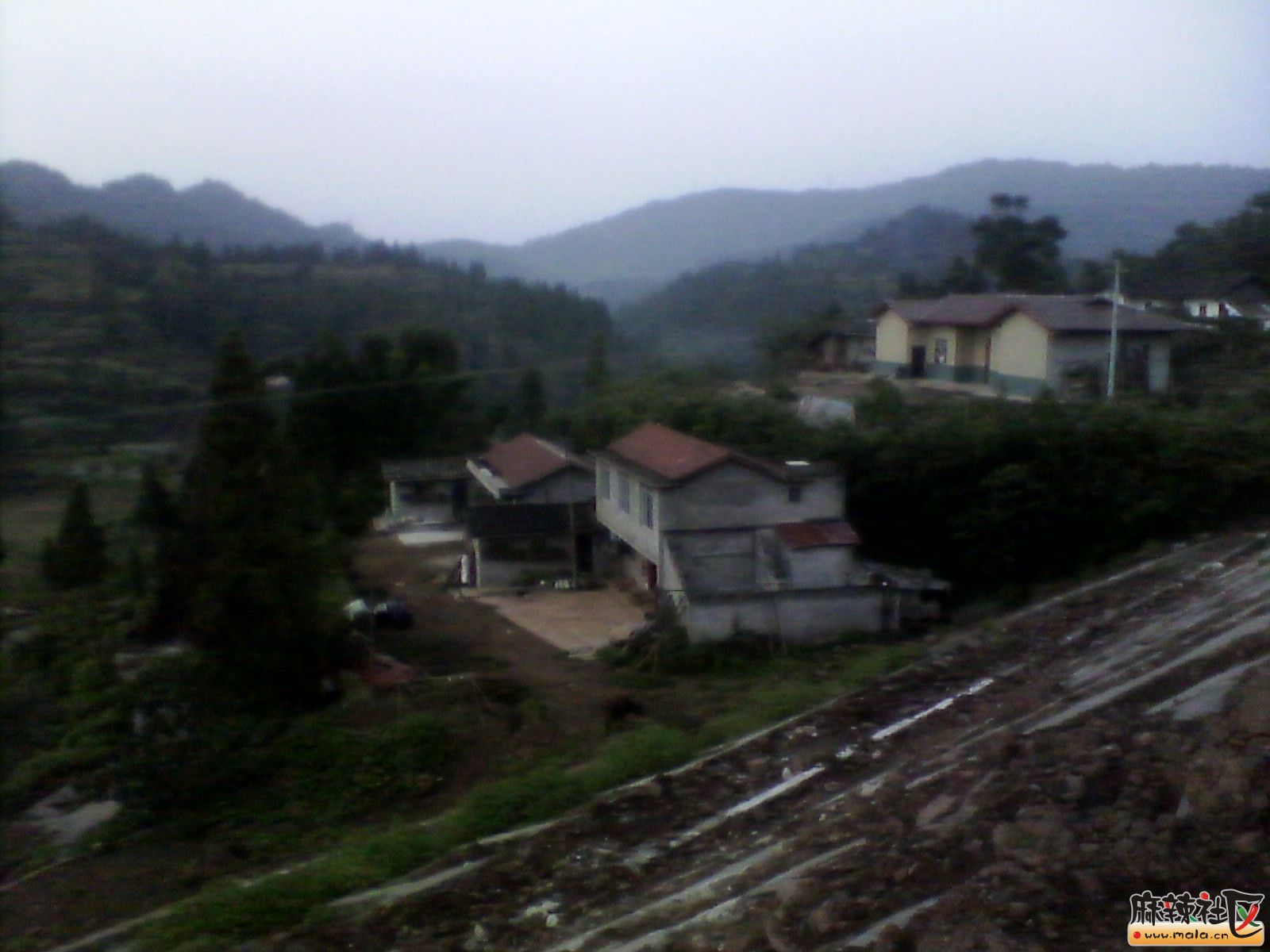 IMG_20130910_191148.jpg