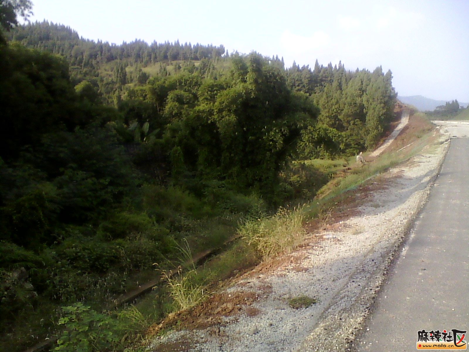 IMG_20130910_165249.jpg