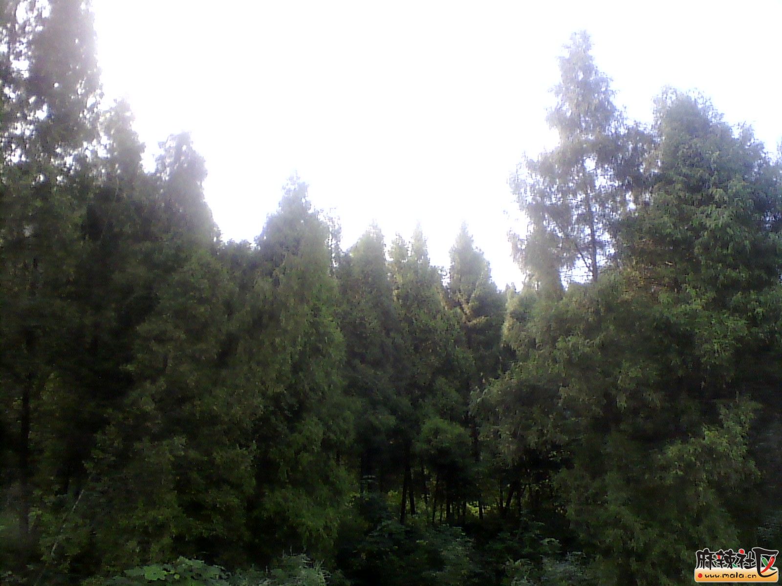 IMG_20130910_174318.jpg