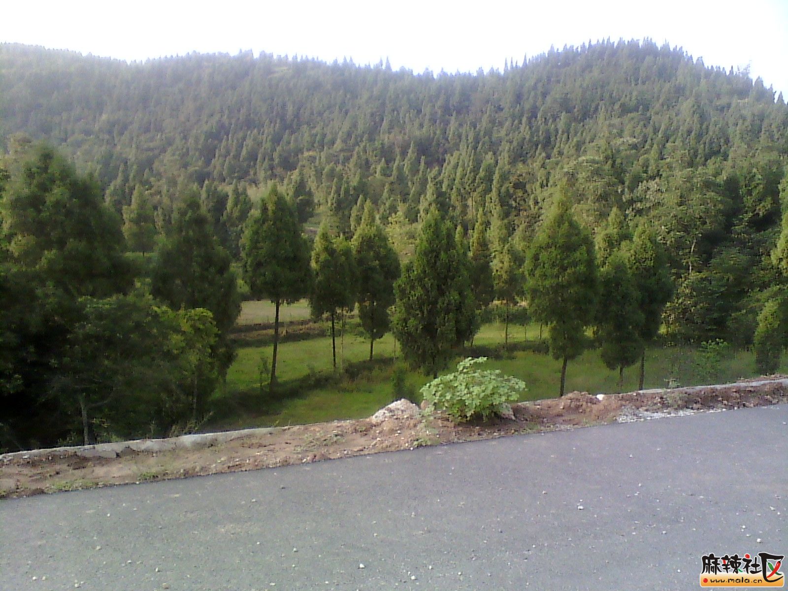 IMG_20130910_175247.jpg