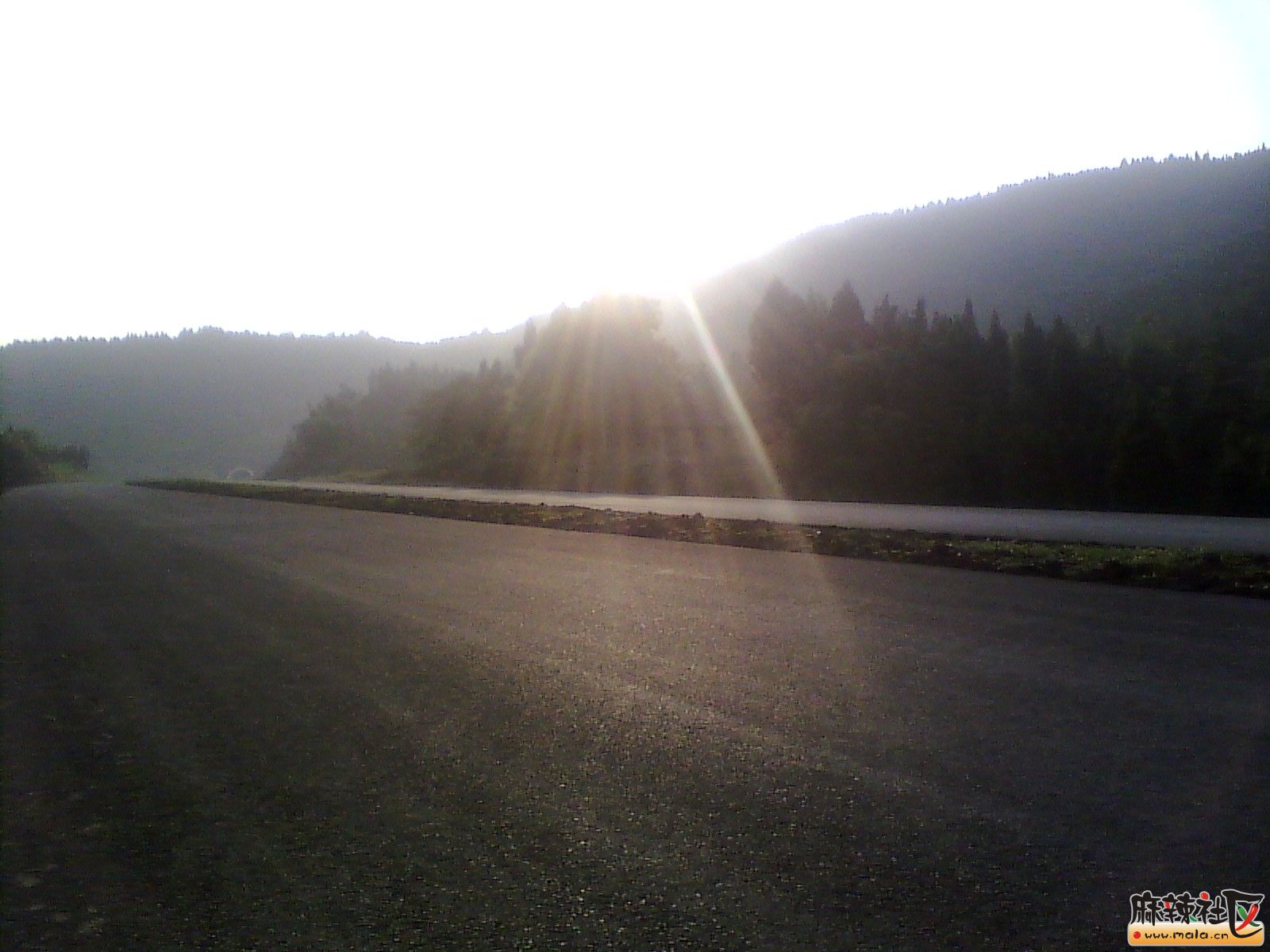 IMG_20130910_175026.jpg