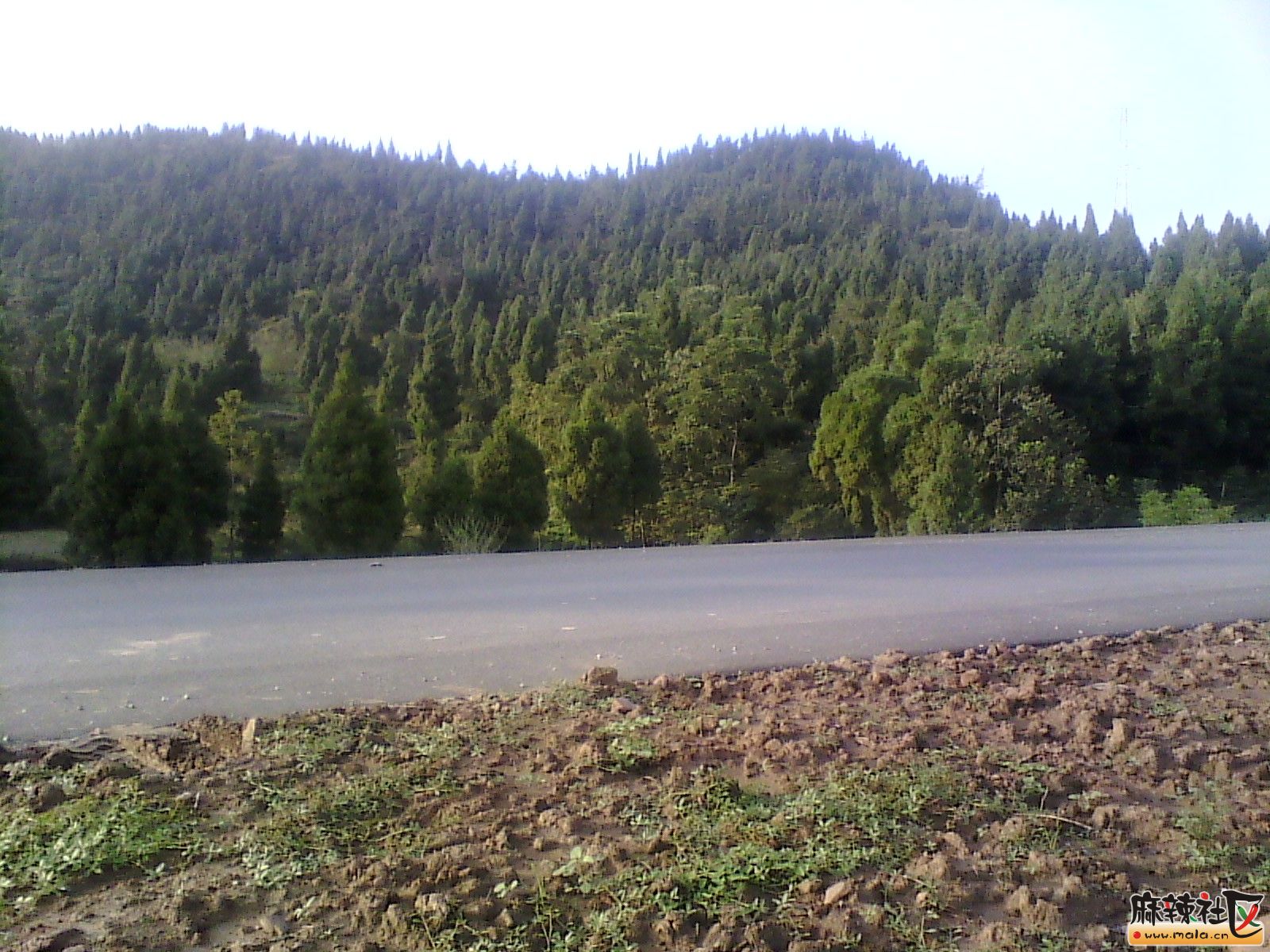 IMG_20130910_175222.jpg