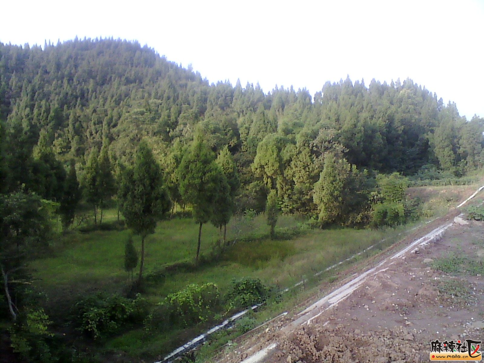 IMG_20130910_175400.jpg