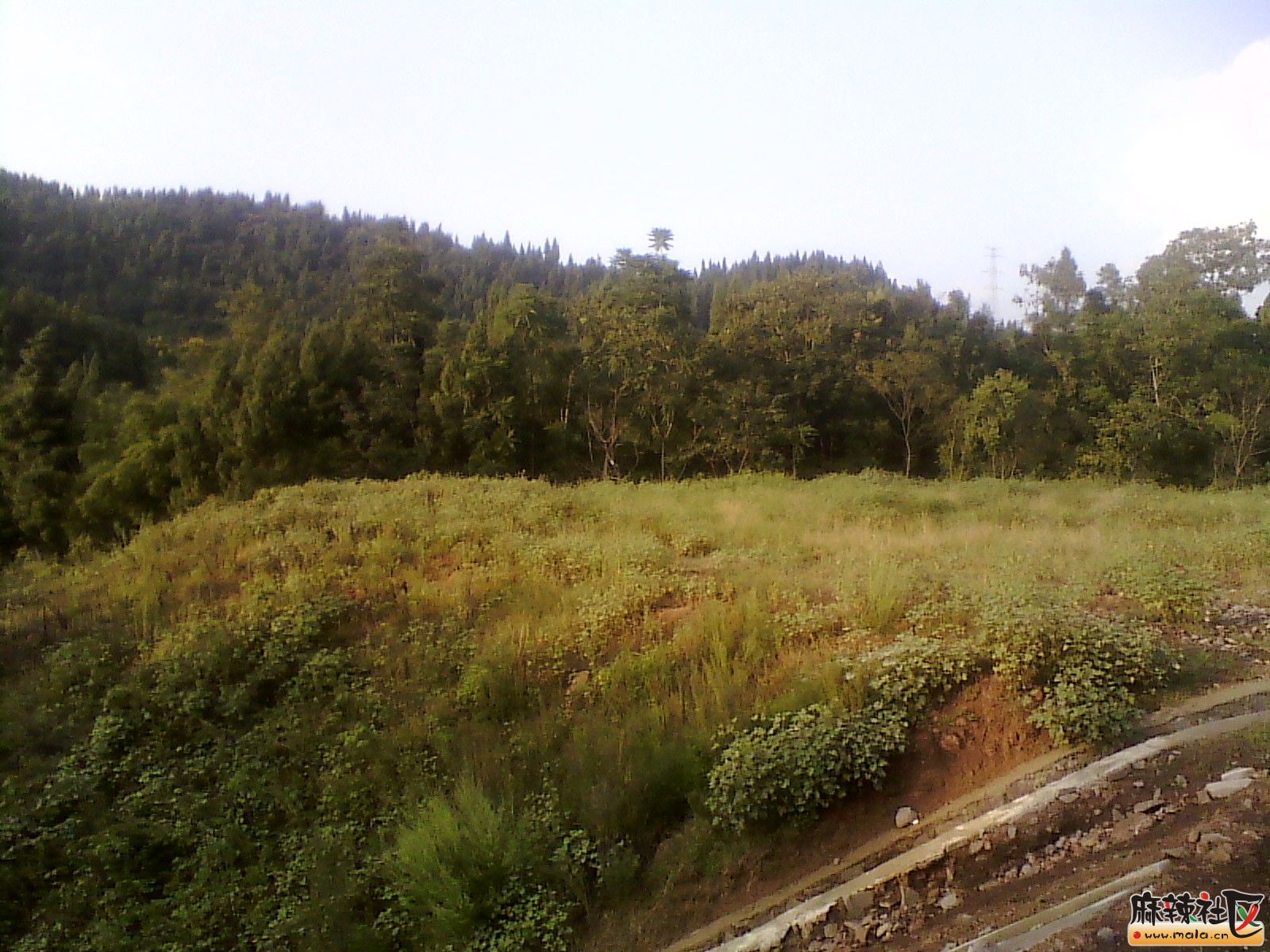 IMG_20130910_175718.jpg