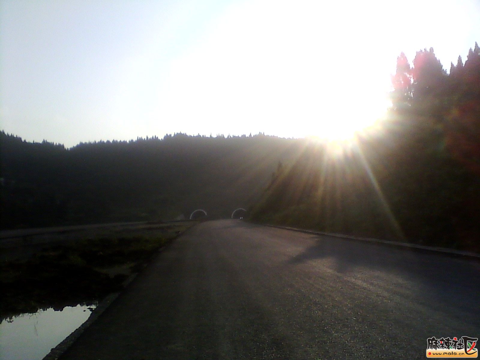IMG_20130910_175930.jpg