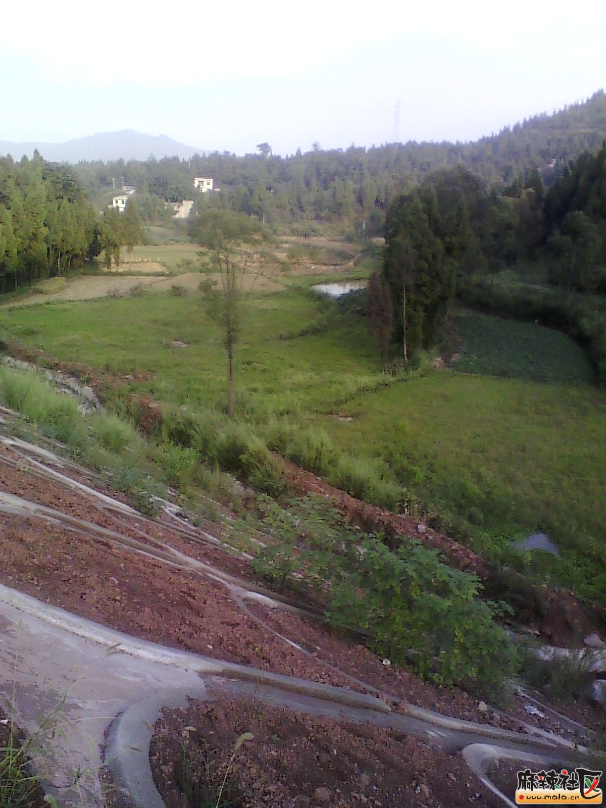 IMG_20130910_180538.jpg