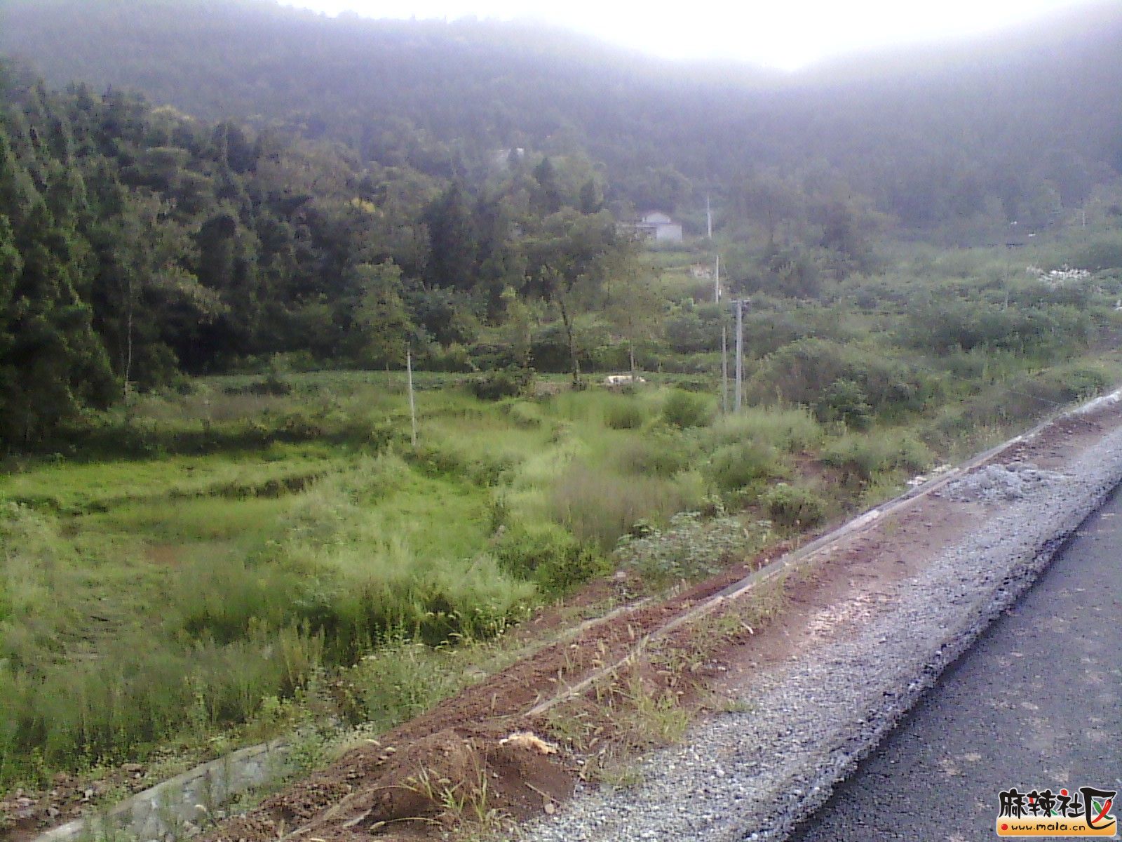 IMG_20130910_180602.jpg