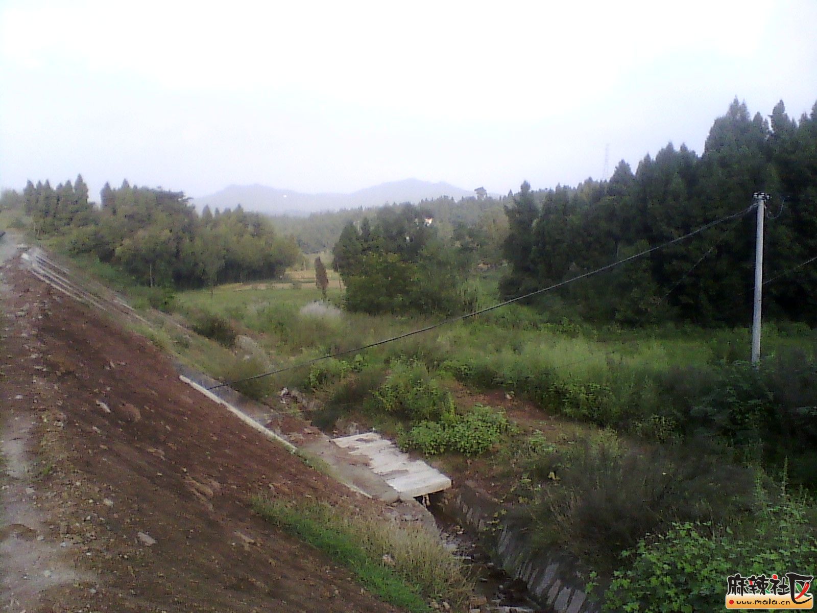 IMG_20130910_180751.jpg