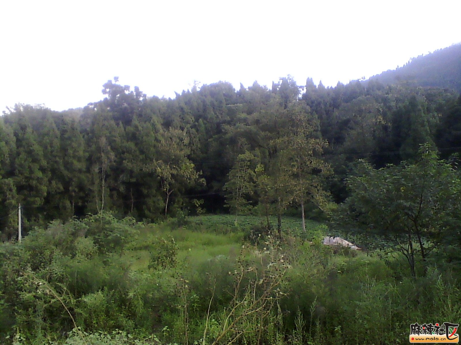 IMG_20130910_180759.jpg