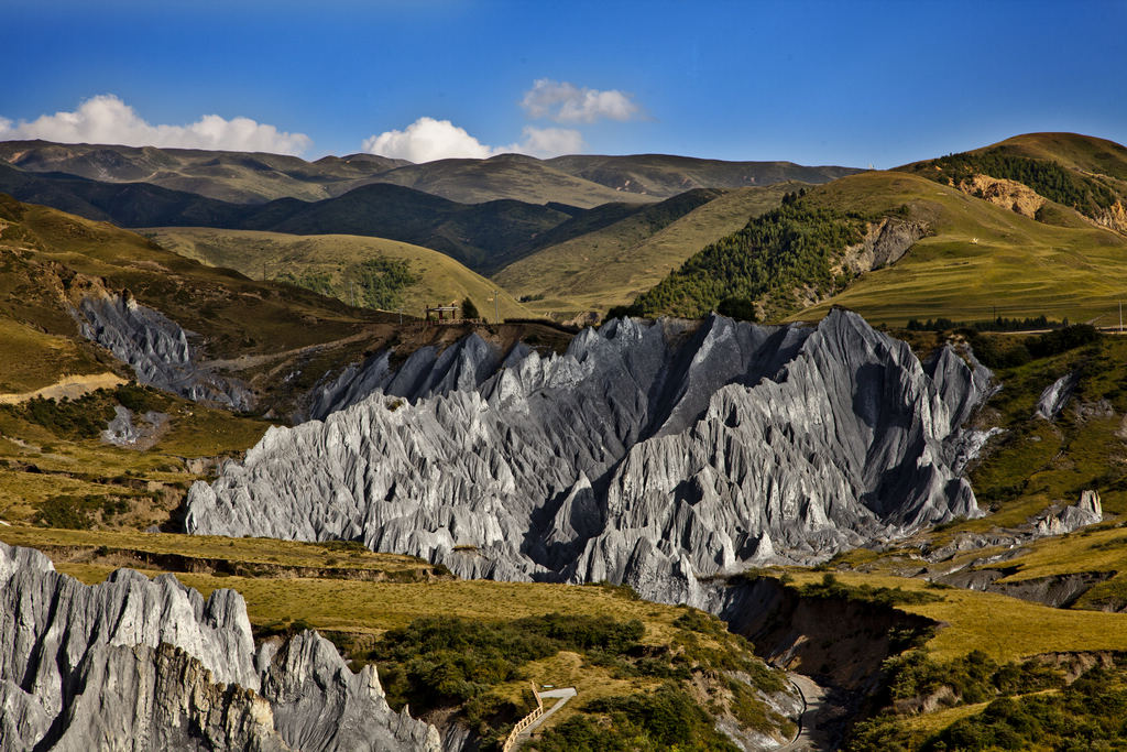  _MG_9138.jpg