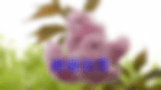 yyyyy.gif