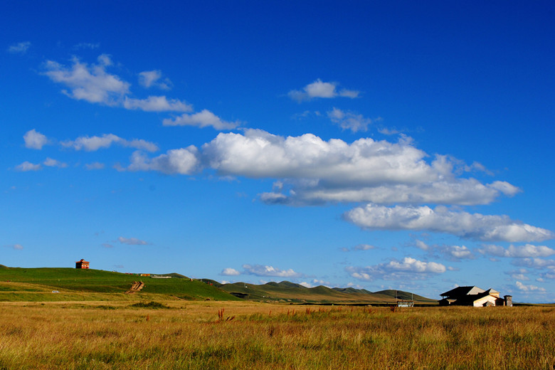 dsc_0343__.jpg