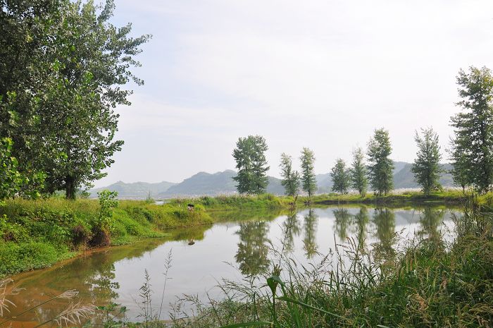 130758hhiyitiy72liijim.jpg