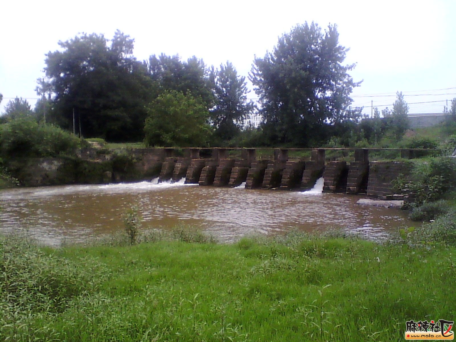 IMG_20130710_171715.jpg