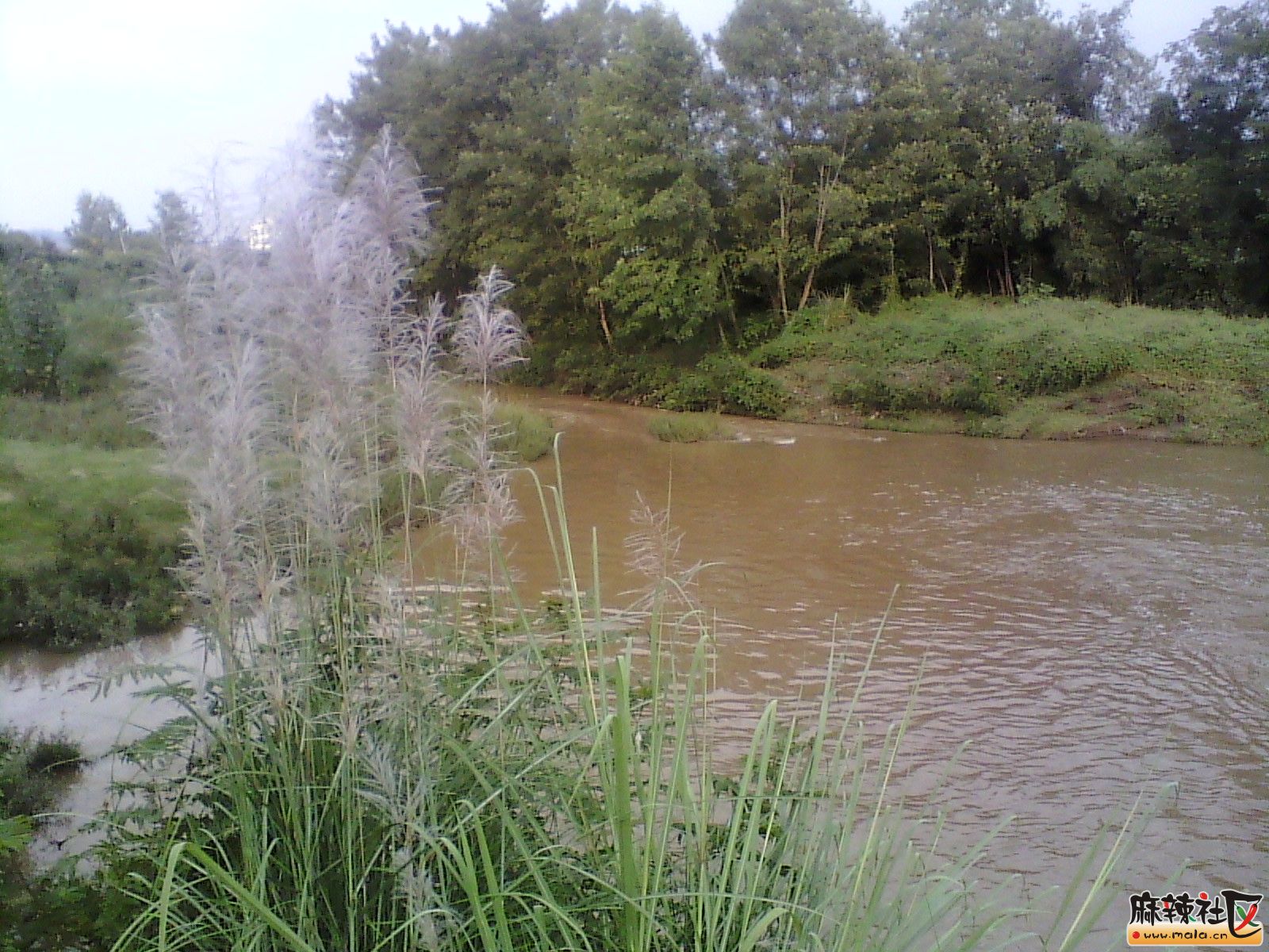 IMG_20130912_181255.jpg