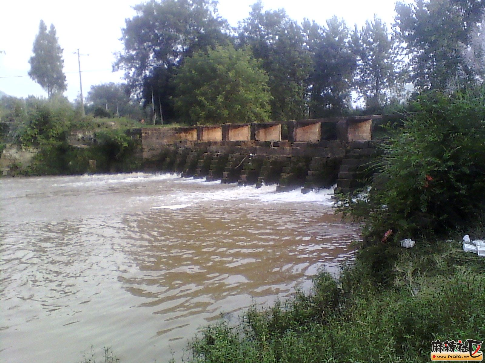 IMG_20130912_181731.jpg