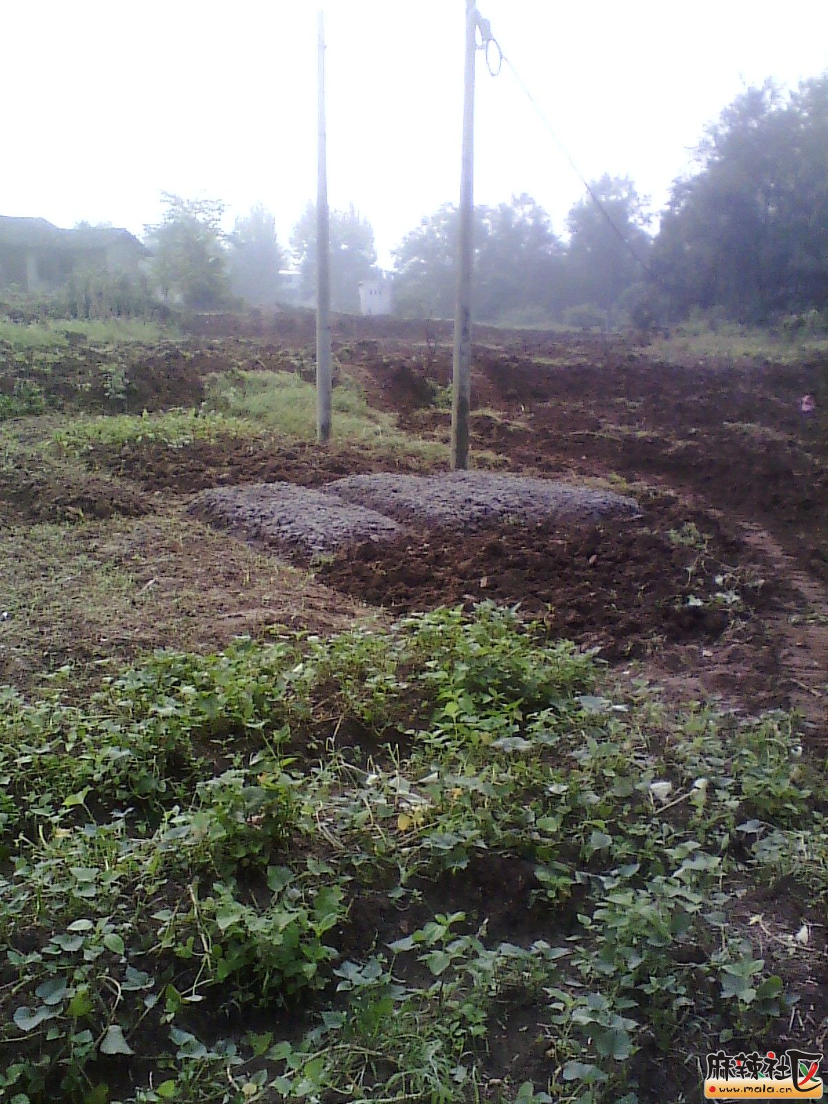 IMG_20130914_091042.jpg