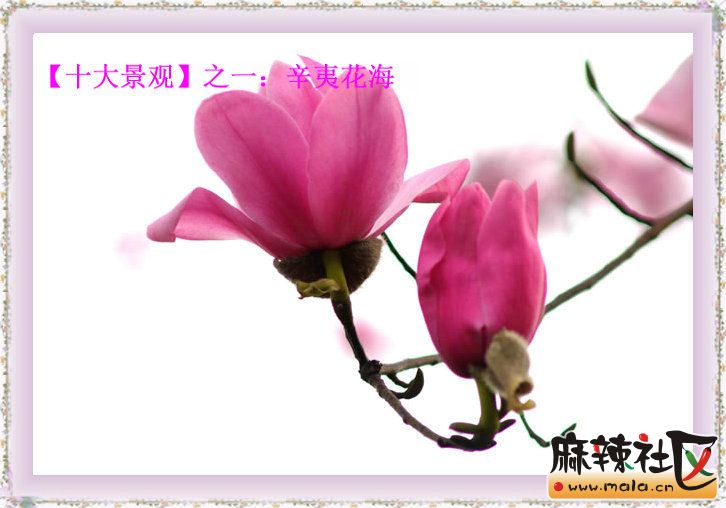 20122271120260_1.jpg