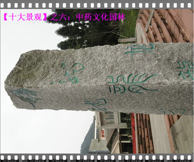 20122271135230_1.jpg