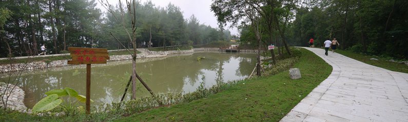 P1130761 Panorama_.jpg