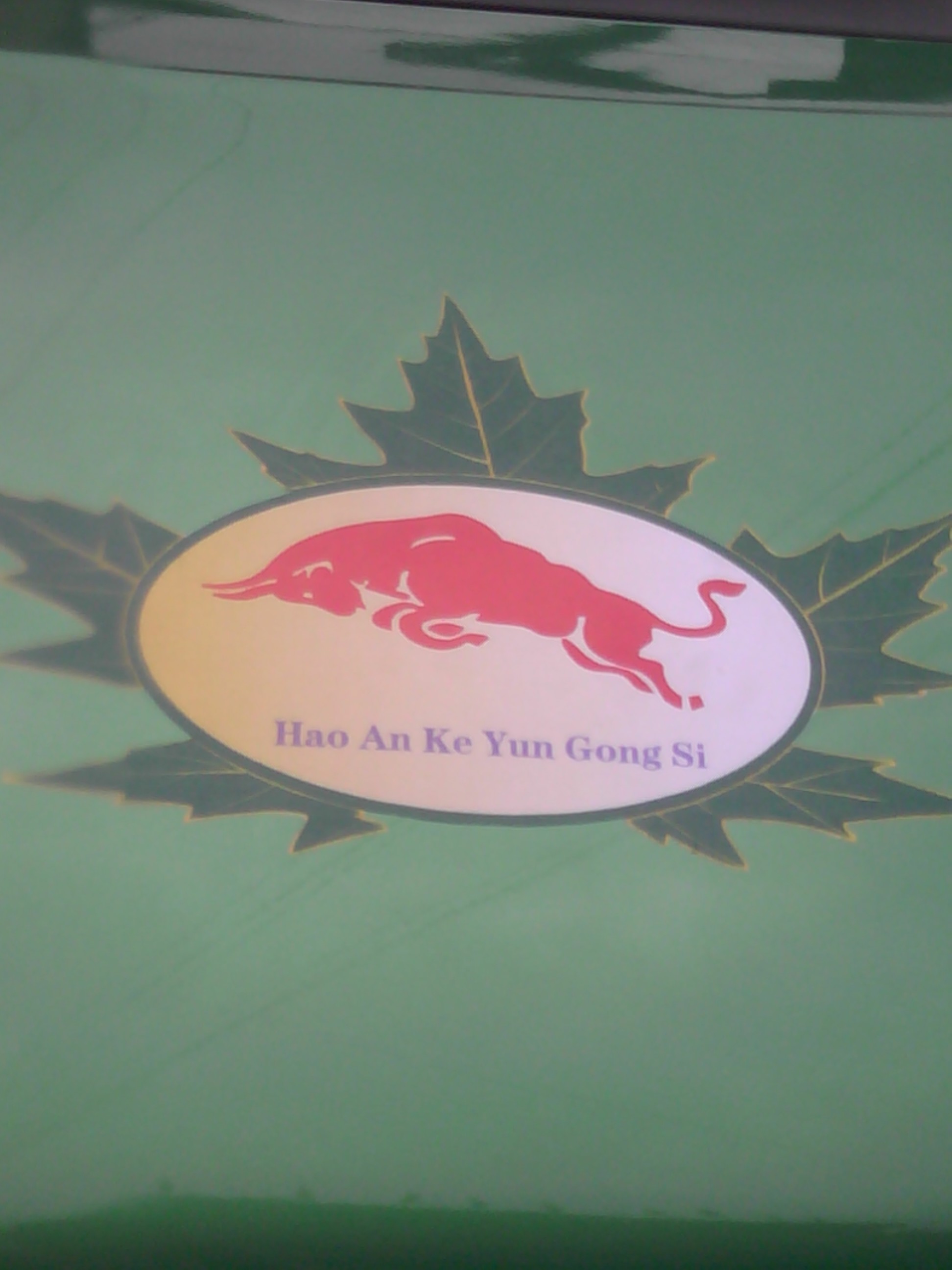 IMG_20130917_133151.jpg