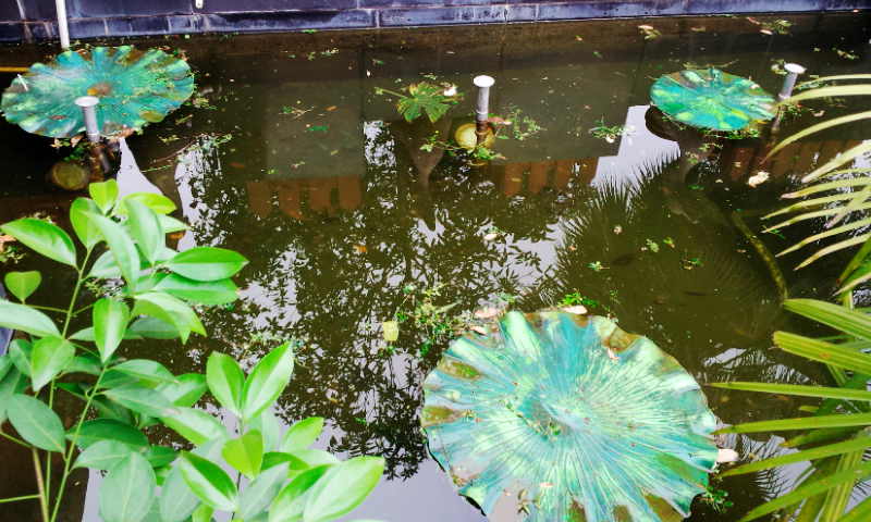 20130911_145047.jpg