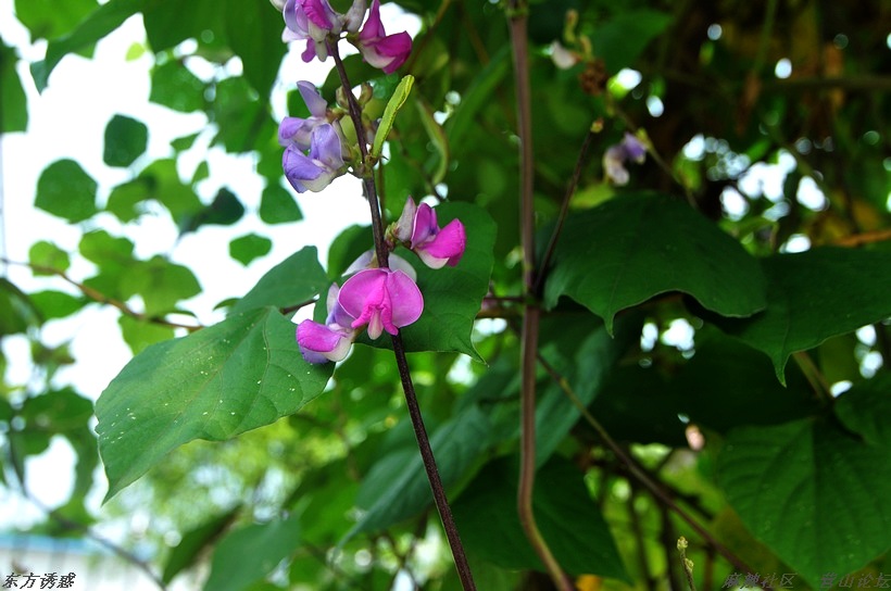 DSC_0022.jpg