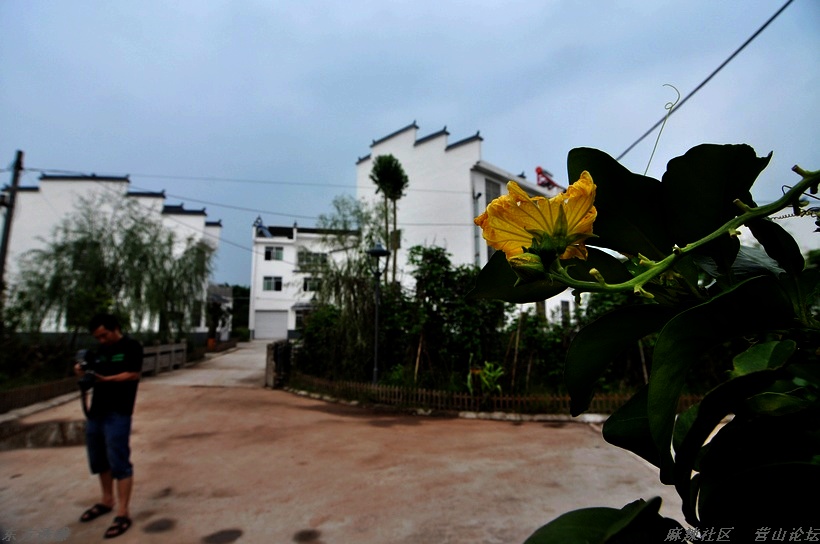 DSC_0071.jpg
