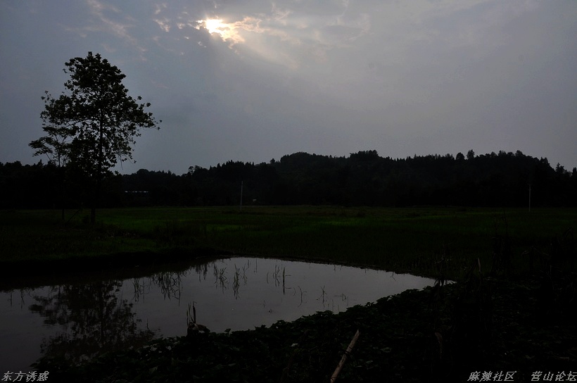 DSC_0115.jpg