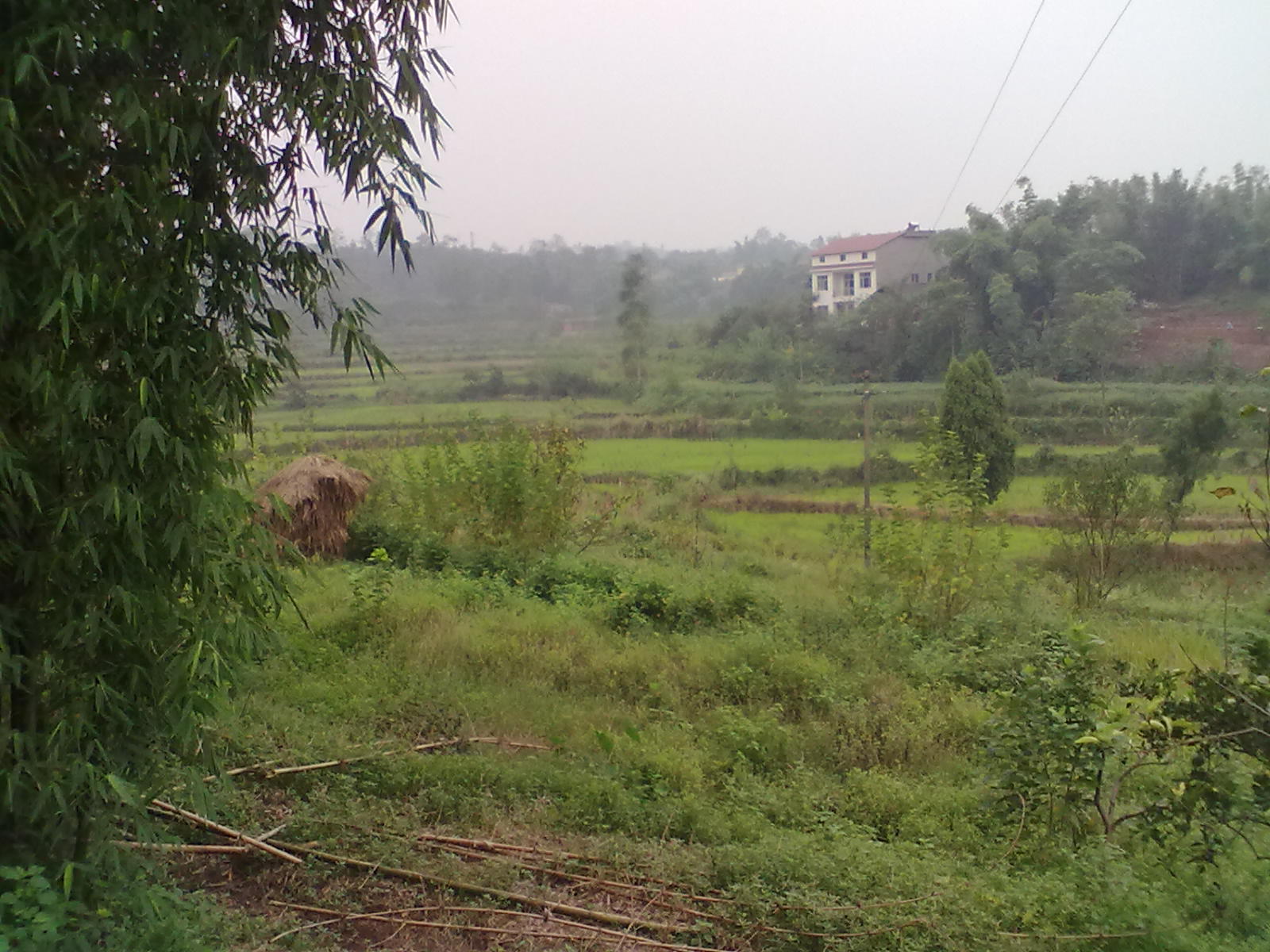 20130919117.jpg