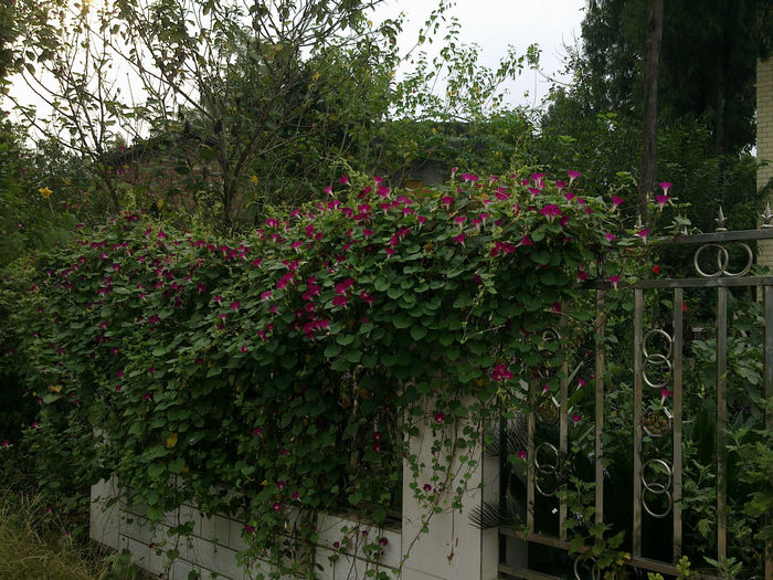 20130919059.jpg