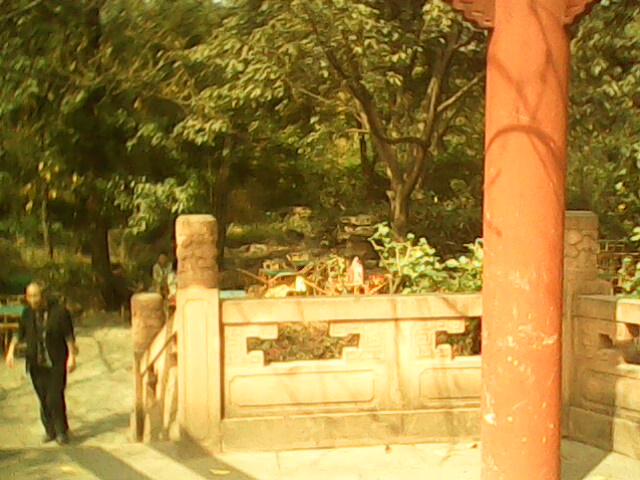 IMG1197A.jpg