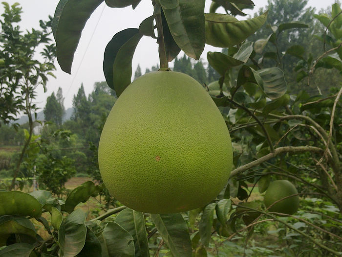 20130919096.jpg