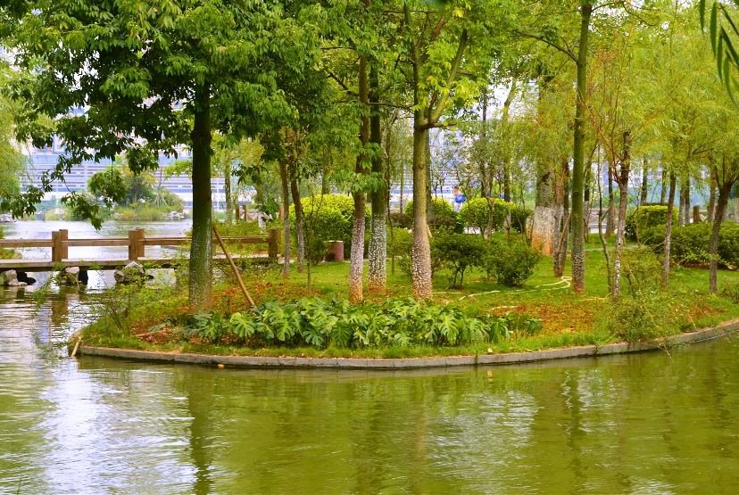 游蟠龙山公园行摄-南江论坛-麻辣社区 四川第一网络社区 你的言论 影