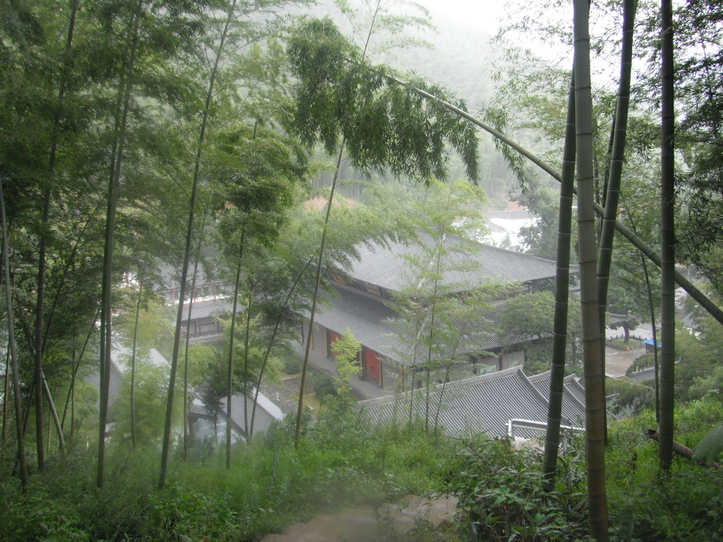 DSCF1943.JPG