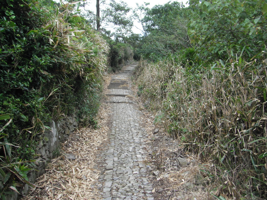 DSCF1976.JPG