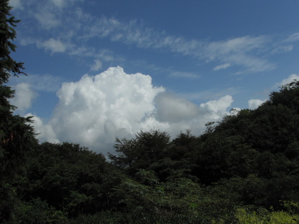 DSCF1984.JPG